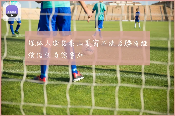 媒体人透露泰山夏窗不换后腰将继续信任马德鲁加